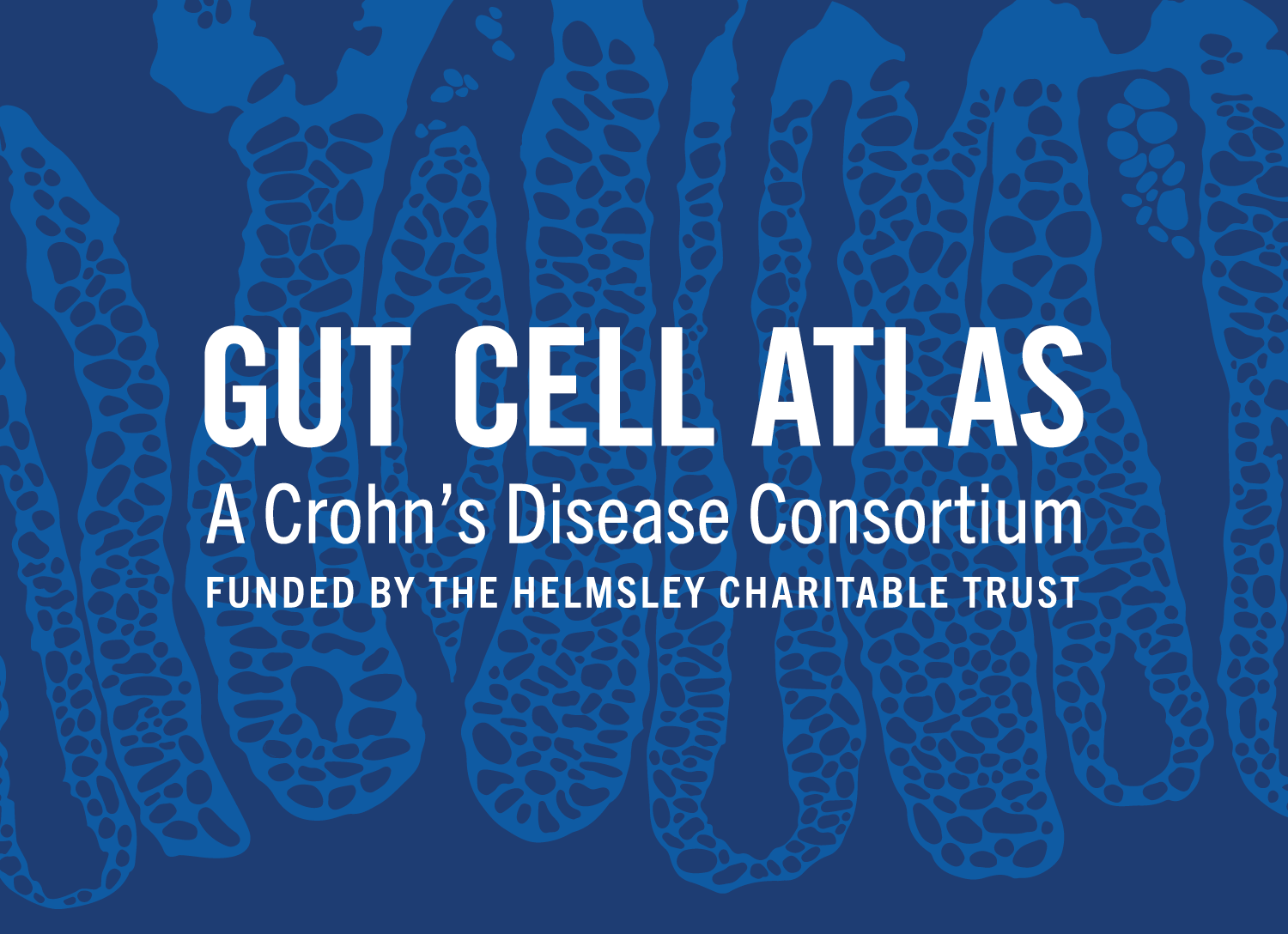 The Gut Cell Atlas: A Crohn